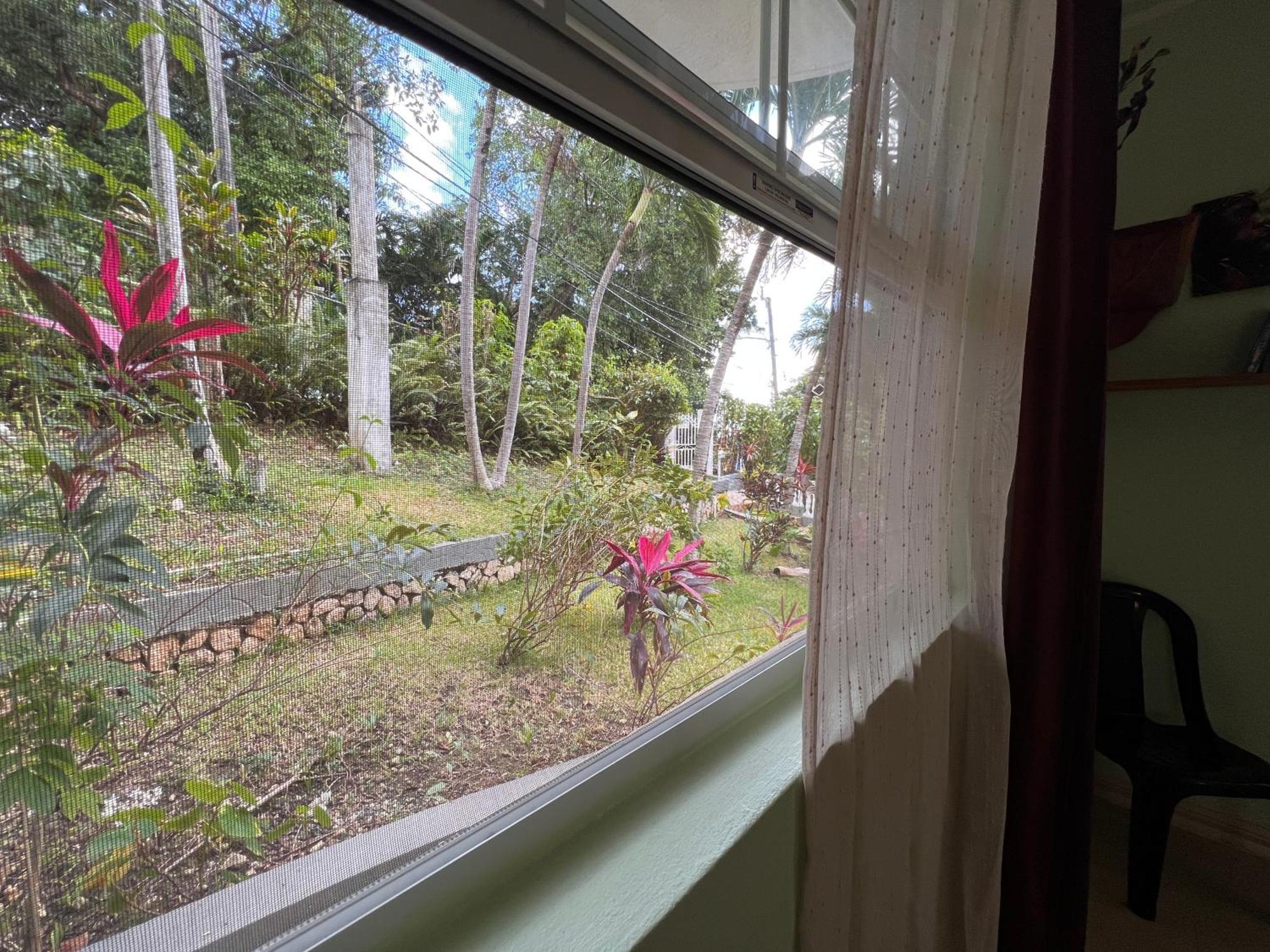 All Nations Guest House Port Antonio Ruang foto